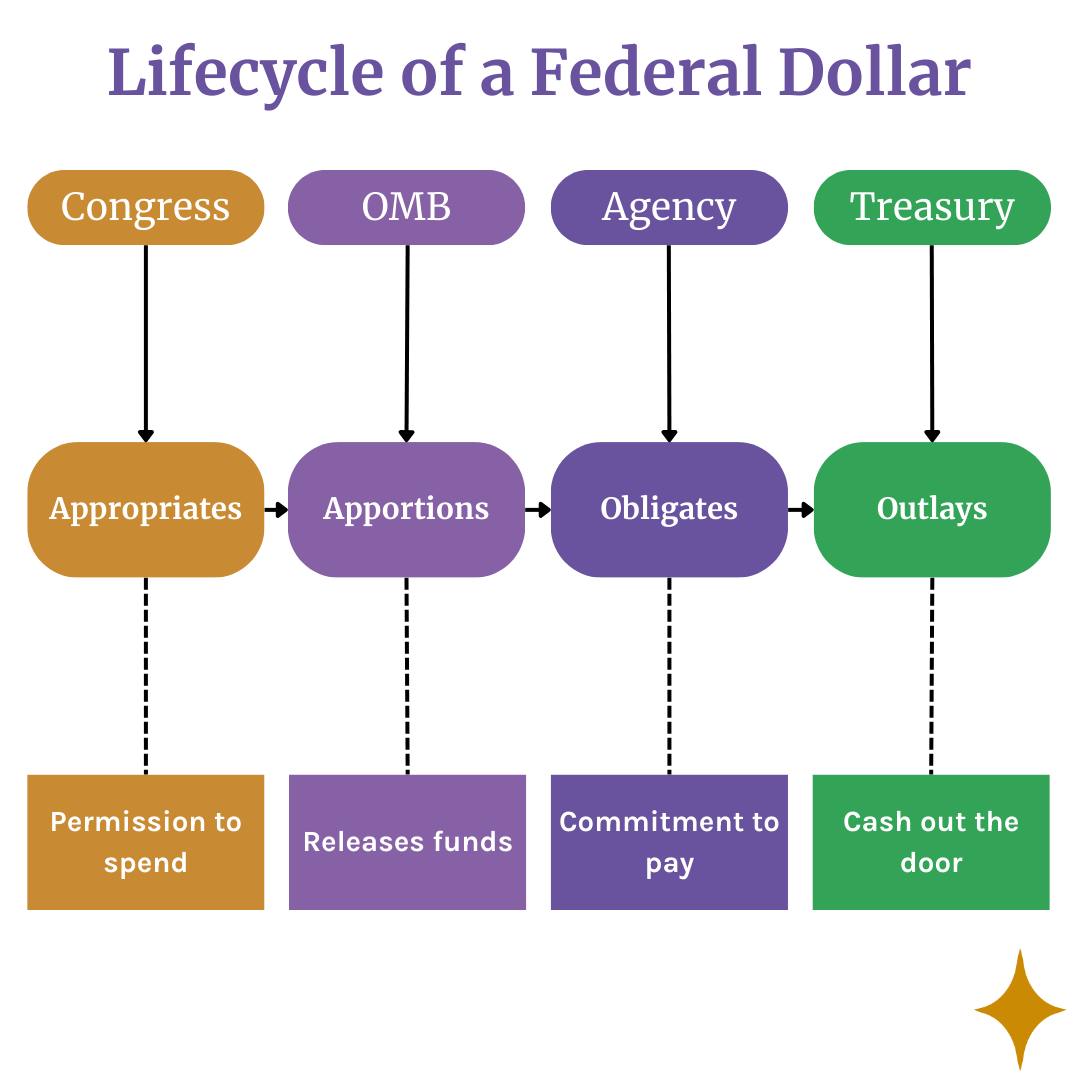 Flowchart of the Federal Funds cycle: appropriated>apportioned>obligated>outlaid